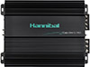 2-канальный усилитель Deaf Bonce Hannibal Green Line GL-150.2